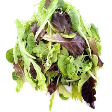Load image into Gallery viewer, Salad - Spring Mix Organic - 8 oz

