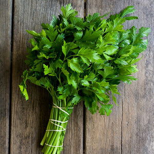 Herbs - Parsley Italian Flat Organic