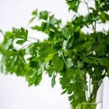 Load image into Gallery viewer, Herbs - Parsley Italian Flat Organic

