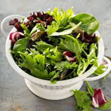 Load image into Gallery viewer, Salad - Spring Mix Organic - 8 oz
